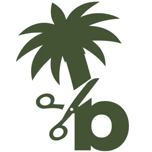 small logo for PalmTreeBarber.com